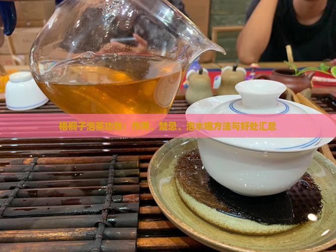 梧桐子泡茶功效：作用、禁忌、泡水喝方法与好处汇总