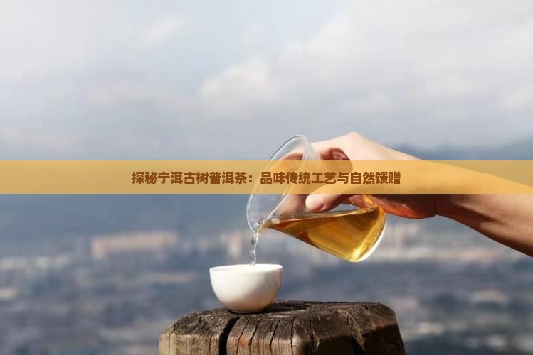 探秘宁洱古树普洱茶：品味传统工艺与自然馈赠