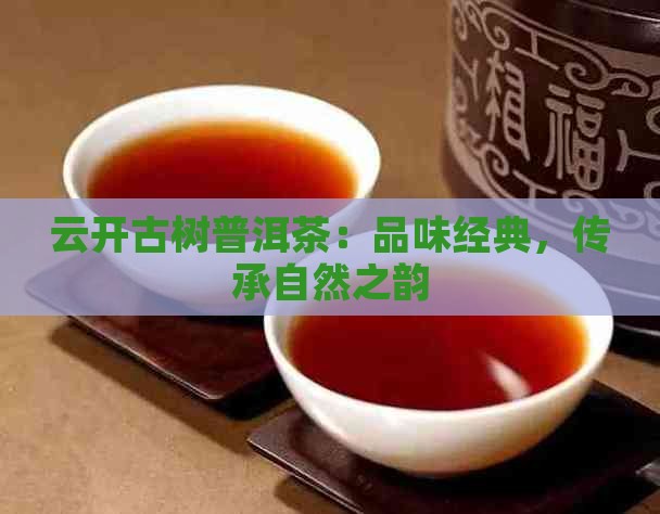 云开古树普洱茶：品味经典，传承自然之韵