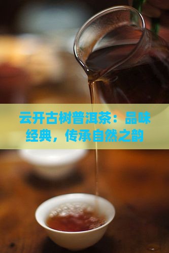 云开古树普洱茶：品味经典，传承自然之韵