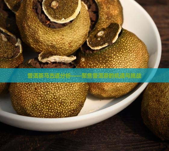 普洱茶马古道分析——聚焦普洱茶的机遇与挑战