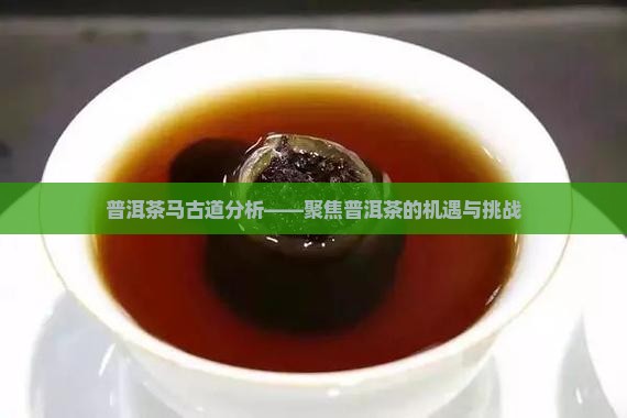 普洱茶马古道分析——聚焦普洱茶的机遇与挑战