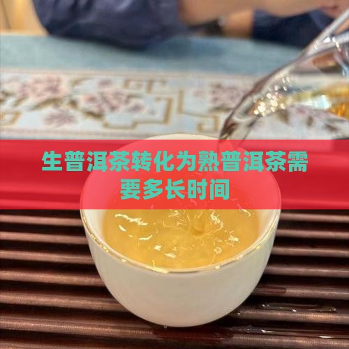生普洱茶转化为熟普洱茶需要多长时间