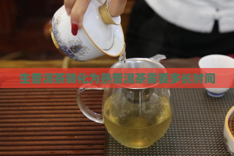 生普洱茶转化为熟普洱茶需要多长时间