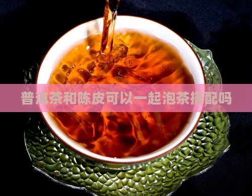 普洱茶和陈皮可以一起泡茶搭配吗