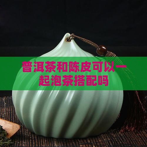 普洱茶和陈皮可以一起泡茶搭配吗