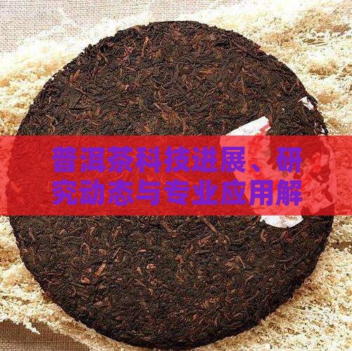 普洱茶科技进展、研究动态与专业应用解析
