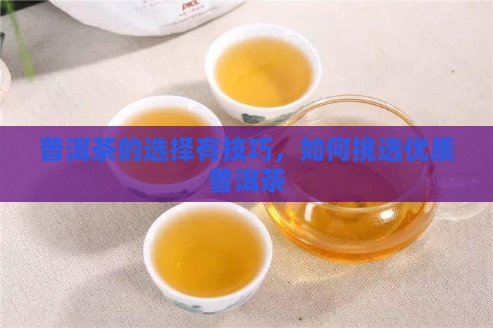 普洱茶的选择有技巧，如何挑选优质普洱茶