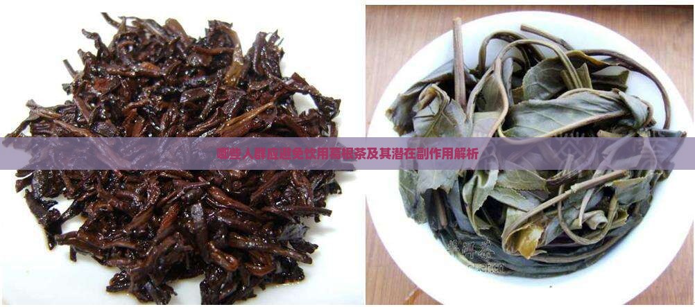 哪些人群应避免饮用葛根茶及其潜在副作用解析