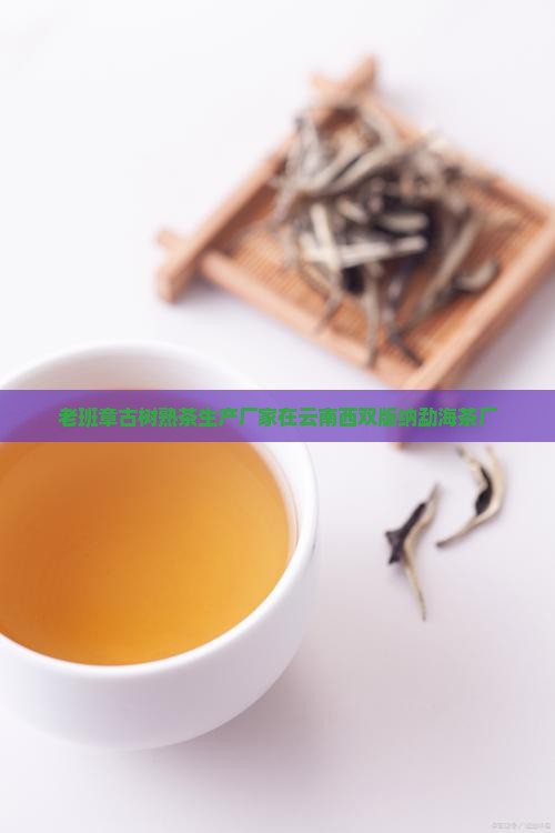老班章古树熟茶生产厂家在云南西双版纳勐海茶厂