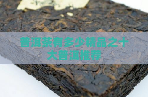 普洱茶有多少精品之十大普洱推荐