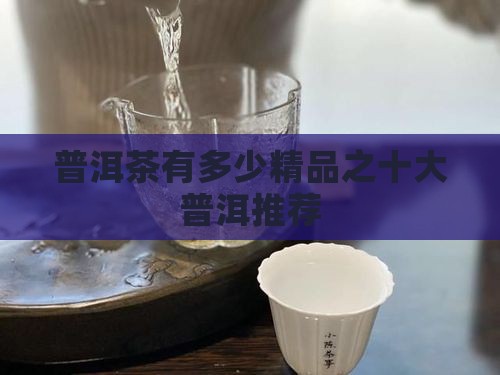 普洱茶有多少精品之十大普洱推荐