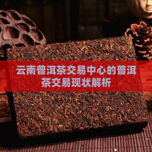 云南普洱茶交易中心的普洱茶交易现状解析
