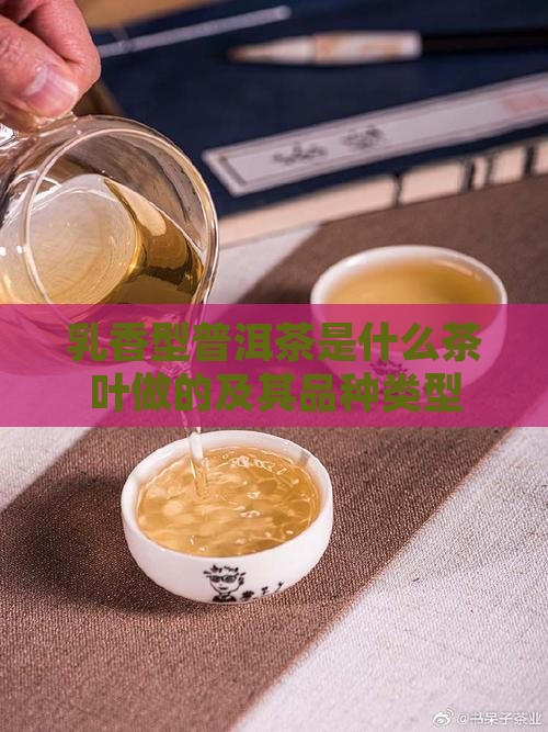 乳香型普洱茶是什么茶叶做的及其品种类型