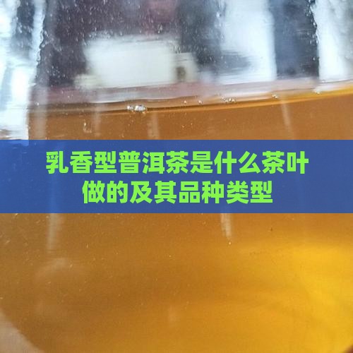 乳香型普洱茶是什么茶叶做的及其品种类型