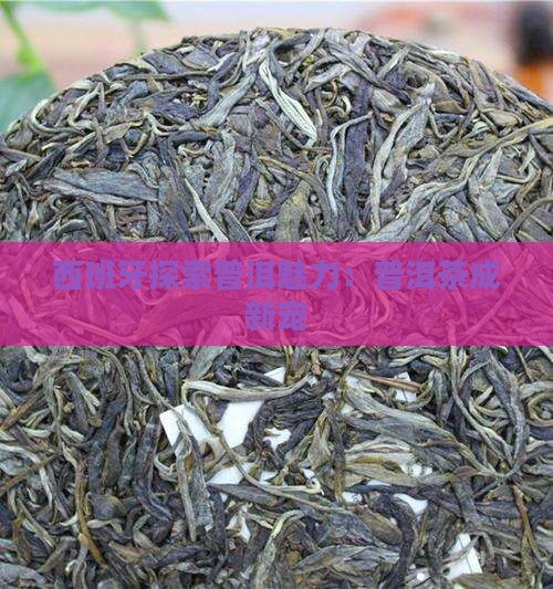 西班牙探索普洱魅力：普洱茶成新宠