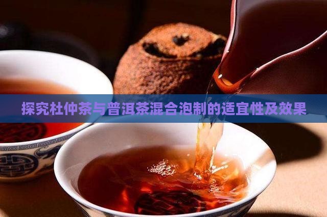 探究杜仲茶与普洱茶混合泡制的适宜性及效果