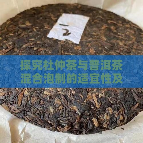 探究杜仲茶与普洱茶混合泡制的适宜性及效果