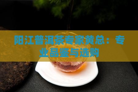 阳江普洱茶专家黄总：专业品鉴与选购