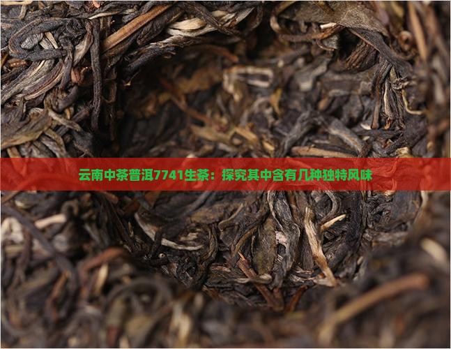 云南中茶普洱7741生茶：探究其中含有几种独特风味