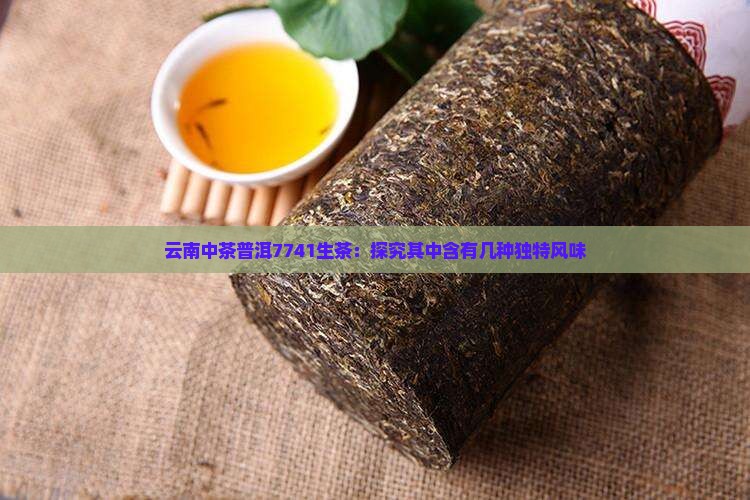 云南中茶普洱7741生茶：探究其中含有几种独特风味