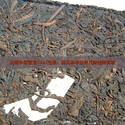 云南中茶普洱7741生茶：探究其中含有几种独特风味