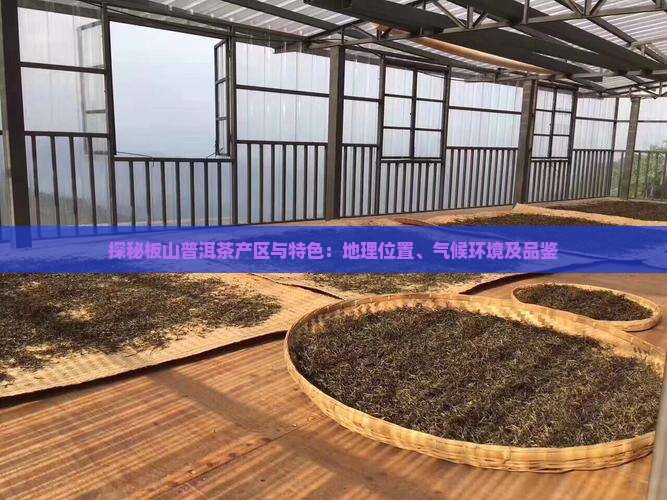 探秘板山普洱茶产区与特色：地理位置、气候环境及品鉴