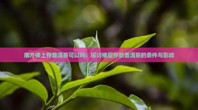 南方楼上存普洱茶可以吗：探讨楼层存放普洱茶的条件与影响