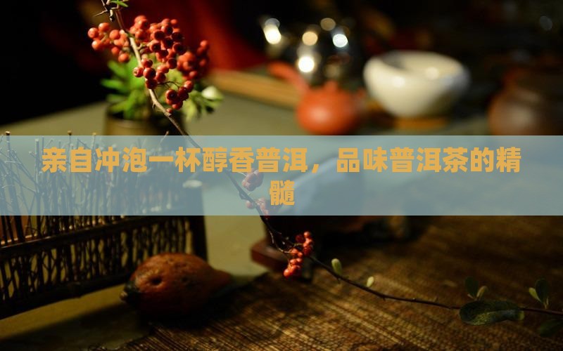 亲自冲泡一杯醇香普洱，品味普洱茶的精髓