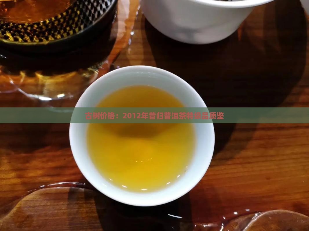 古树价格：2012年昔归普洱茶特级品质鉴