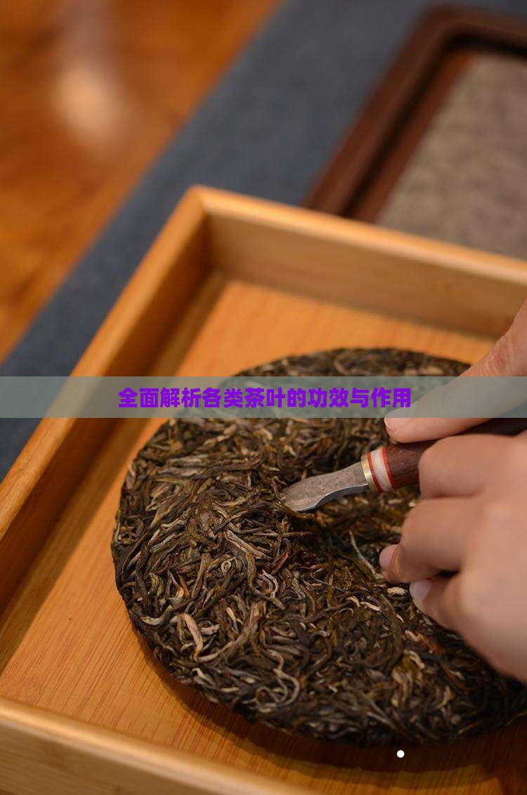 全面解析各类茶叶的功效与作用
