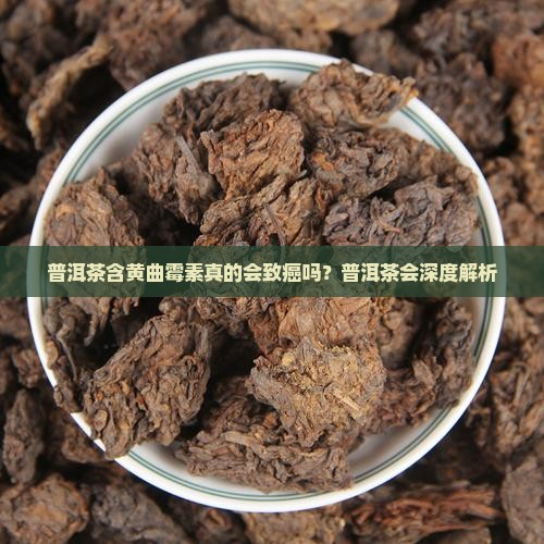 普洱茶含黄曲霉素真的会致癌吗？普洱茶会深度解析