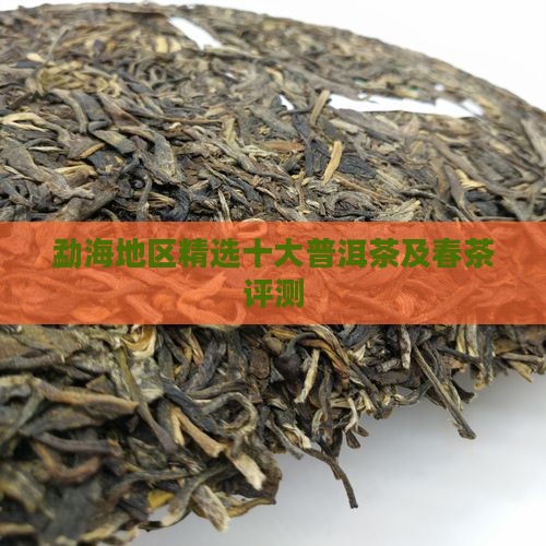 勐海地区精选十大普洱茶及春茶评测