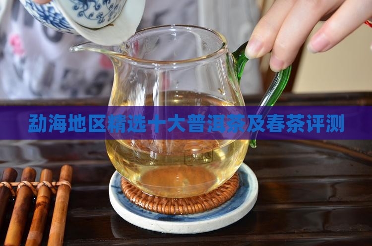 勐海地区精选十大普洱茶及春茶评测