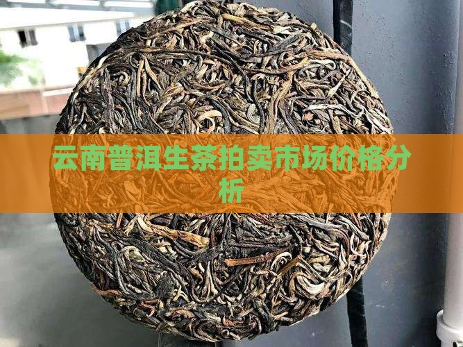 云南普洱生茶拍卖市场价格分析