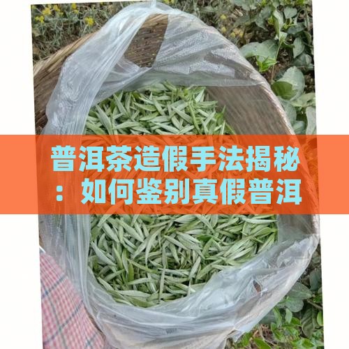 老普洱茶如何做假