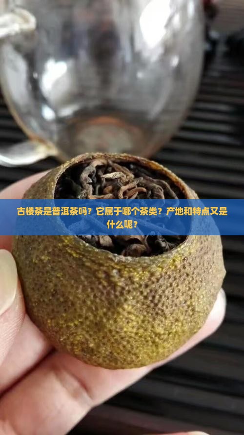 古楼茶是普洱茶吗