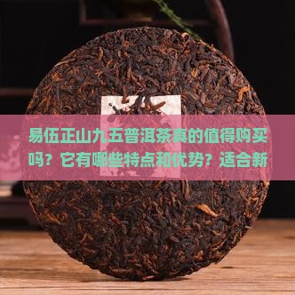 易伍正山九五普洱茶