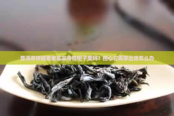 普洱茶饼能放柜子里吗