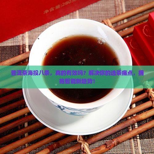 普洱茶海投八条