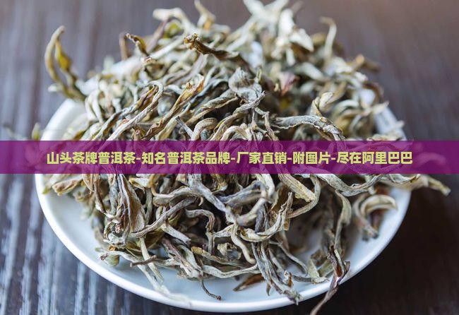 山头茶牌普洱茶