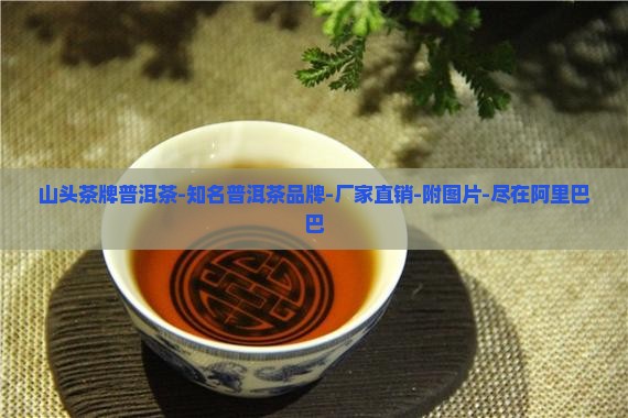 山头茶牌普洱茶