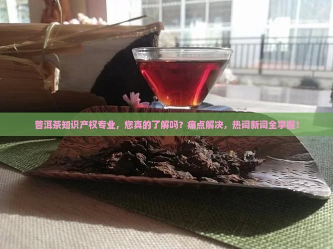 普洱茶知识产权专业