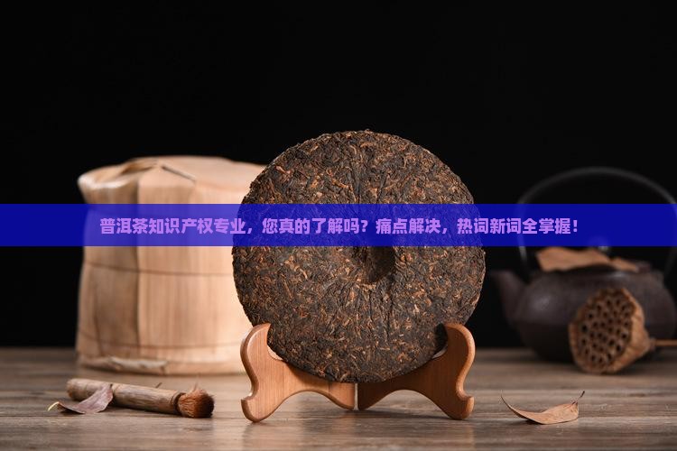 普洱茶知识产权专业