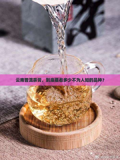 云南普洱茶膏有多少品种