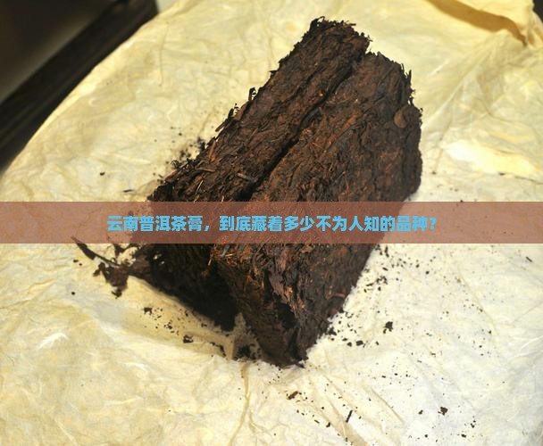 云南普洱茶膏有多少品种