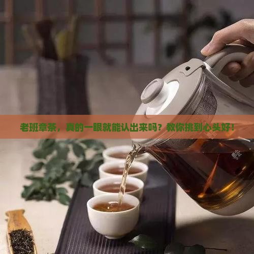 如何选购纯正的老班章茶叶