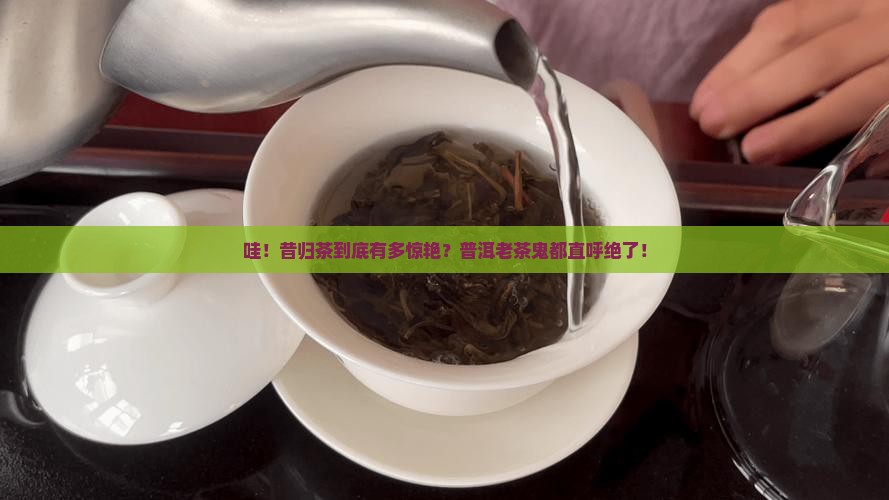 普洱品昔归茶的特征