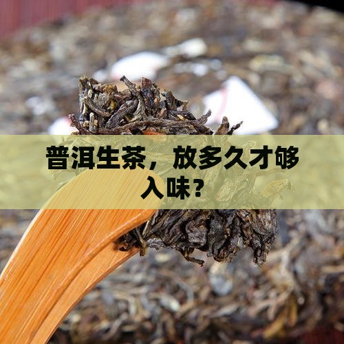 普洱茶生茶要放多久