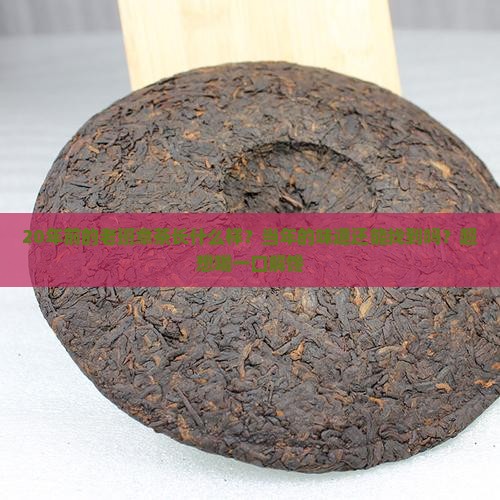 1999年鑫隆一山一味老班章